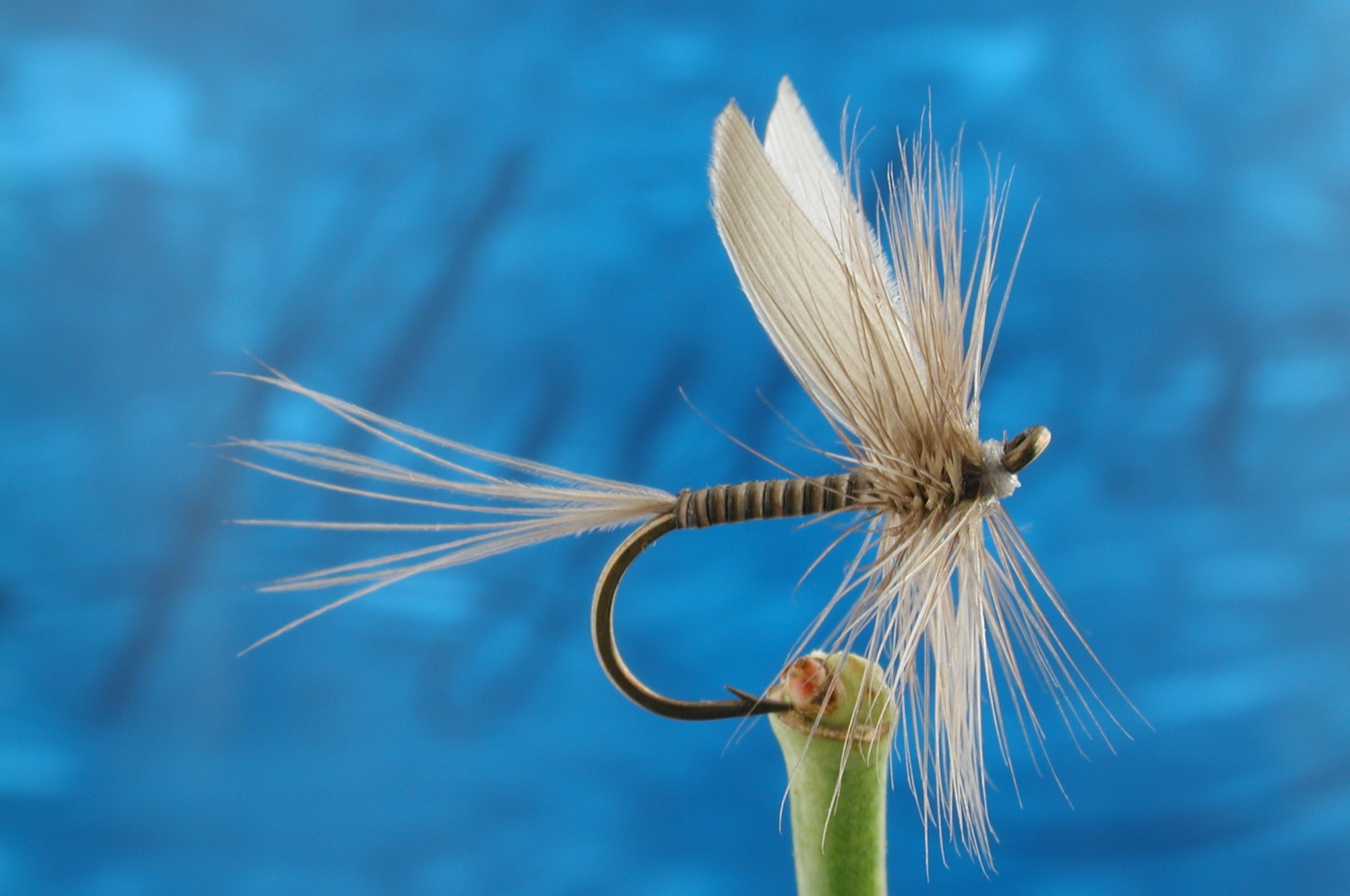 Blue Quill Fly Fishing Flies with Fish4Flies Worldwide